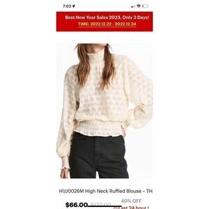 H&M High Neck Ruffled Cream Sheer Blouse 14